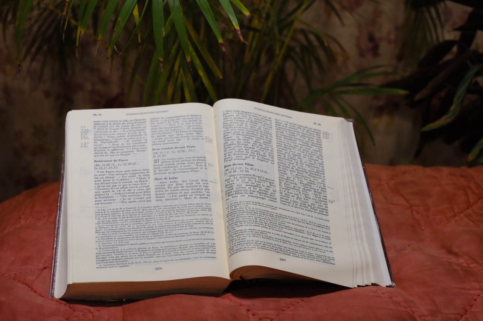 Lectio Divina