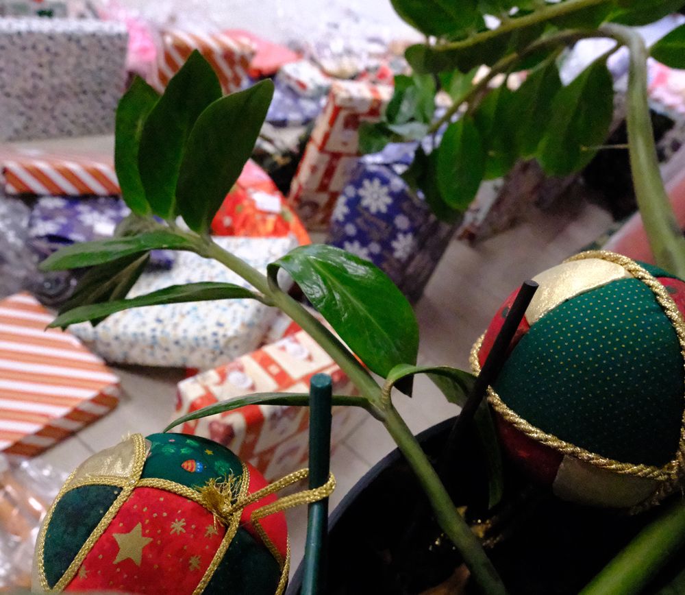 La secrétaire en vacances !